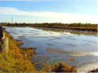 Направления деятельности